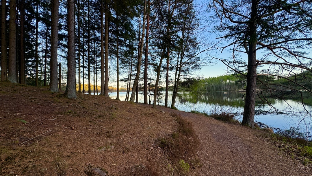 Boundary Waters fire management wilderness — Boundary Waters Fire Management: Rethinking Wilder